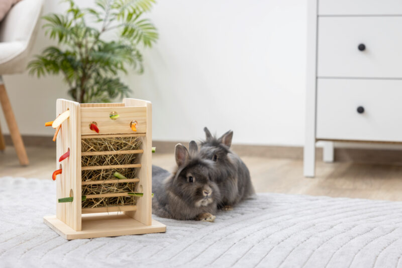 Hay and Vegetable Tower