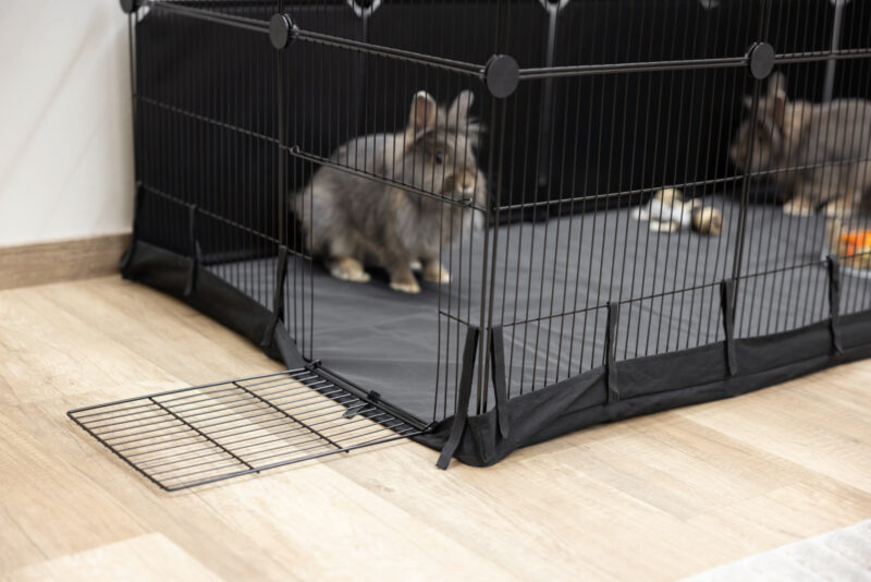 Indoor Gehege Hoppla