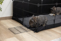 Indoor Gehege Hoppla