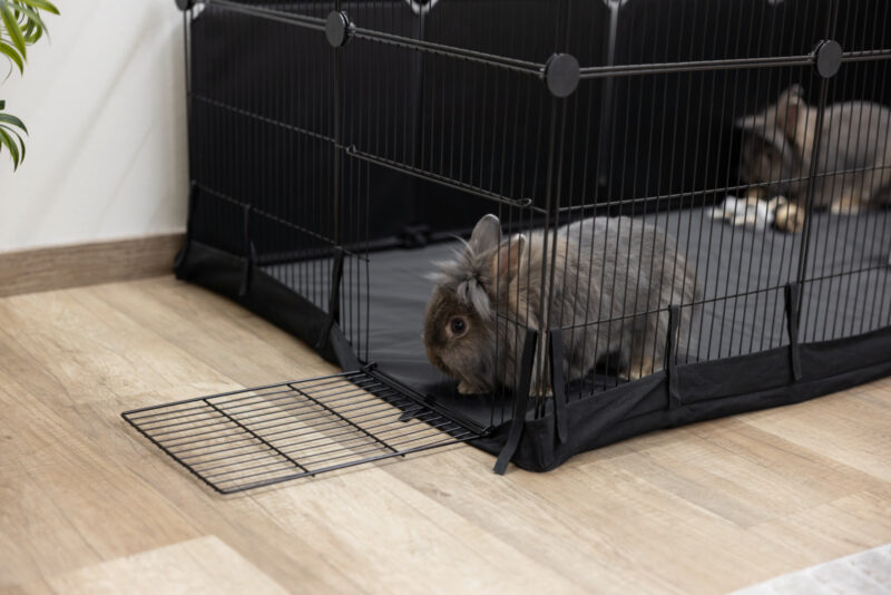Indoor Gehege Hoppla