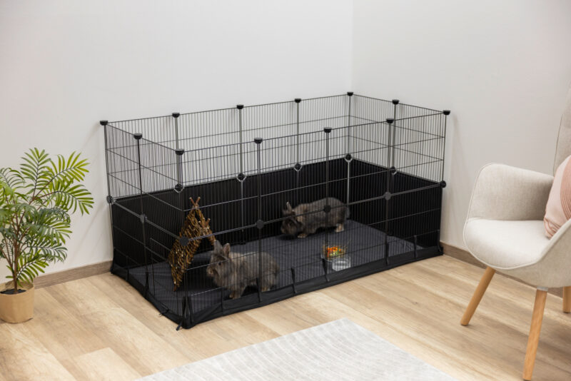 Indoor Gehege Hoppla