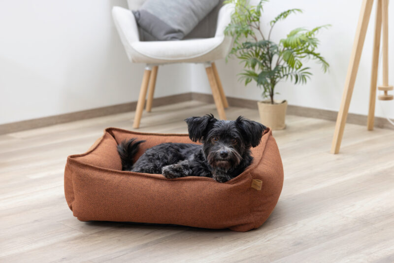 Kuschelbett Oliver