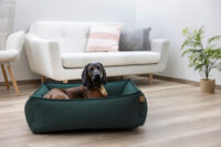 Kuschelbett Oliver