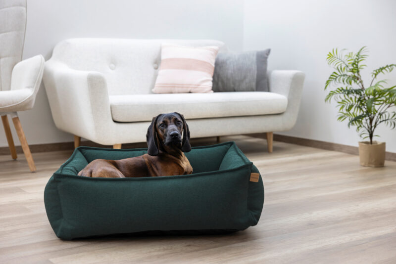 Kuschelbett Oliver