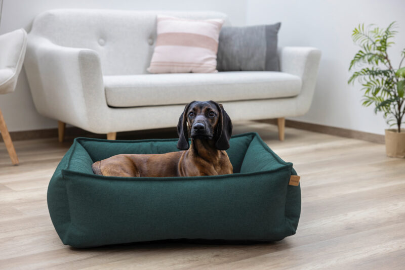 Kuschelbett Oliver