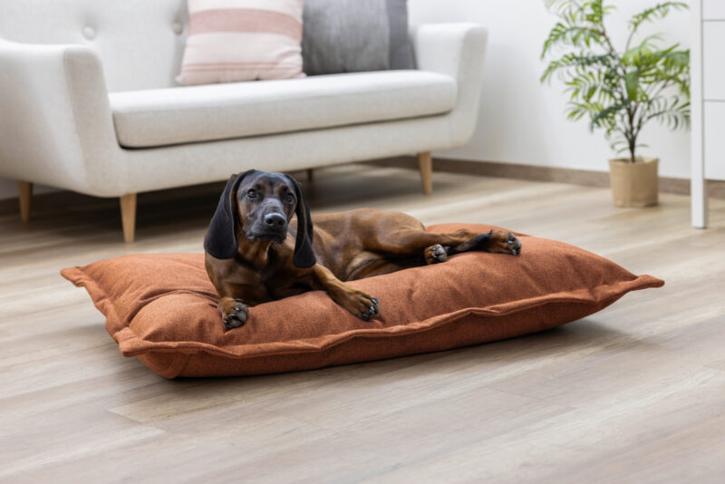 Kuschelsack Oliver