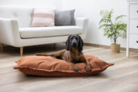 Kuschelsack Oliver