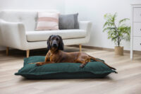 Kuschelsack Oliver
