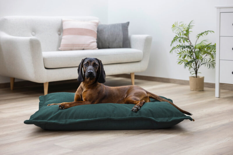 Kuschelsack Oliver