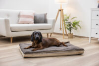 Matelas multifonctionnel