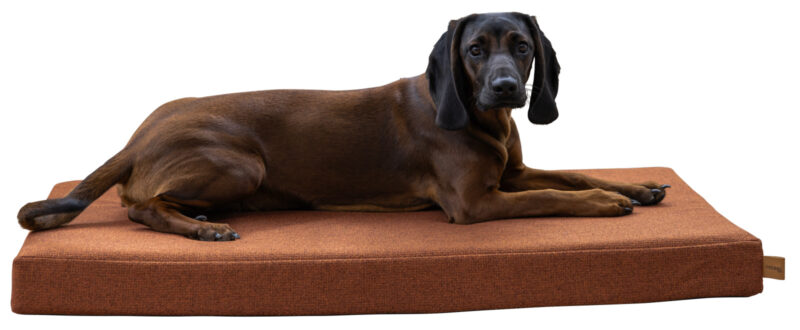 Memory Foam Mattress Oliver