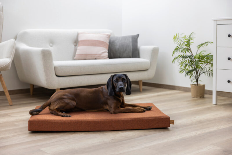 Memory Foam Mattress Oliver