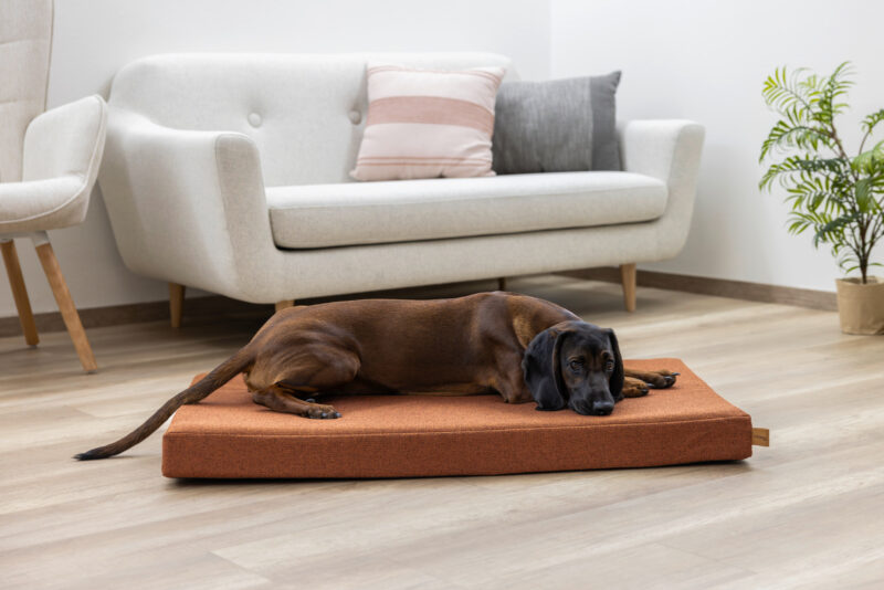 Memory Foam Mattress Oliver