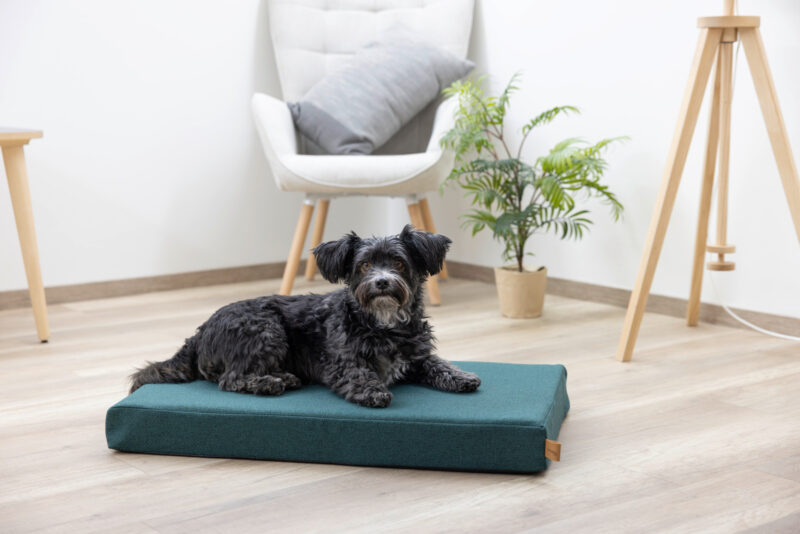 Memory Foam Mattress Oliver