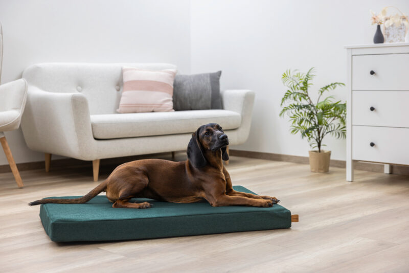 Memory Foam Mattress Oliver