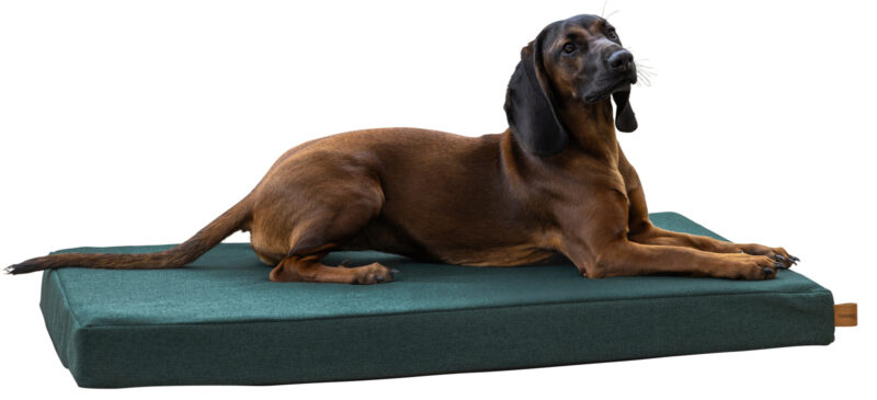 Memory Foam Mattress Oliver