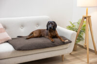 Multi-functional Mattress
