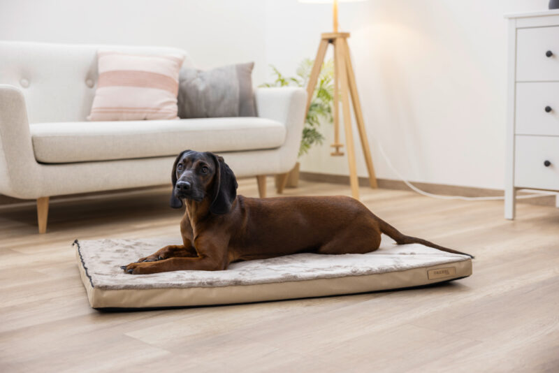 Multi-functional Mattress