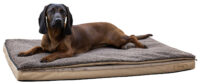 Multi-functional Mattress