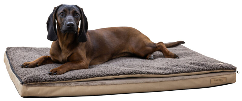 Multi-functional Mattress