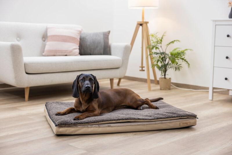 Multi-functional Mattress