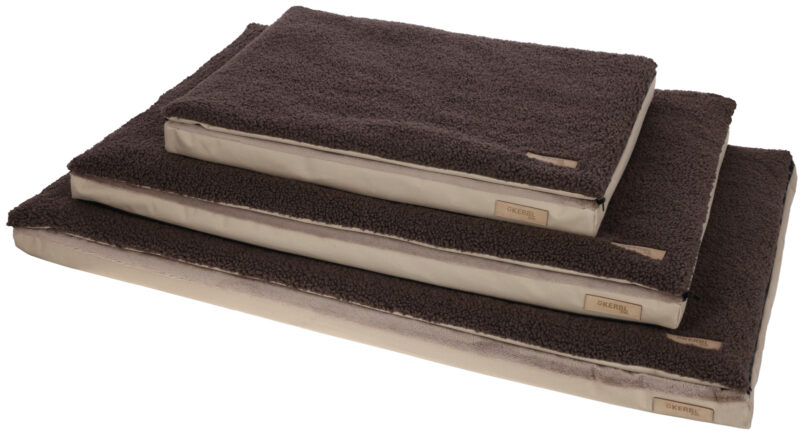 Multi-functional Mattress