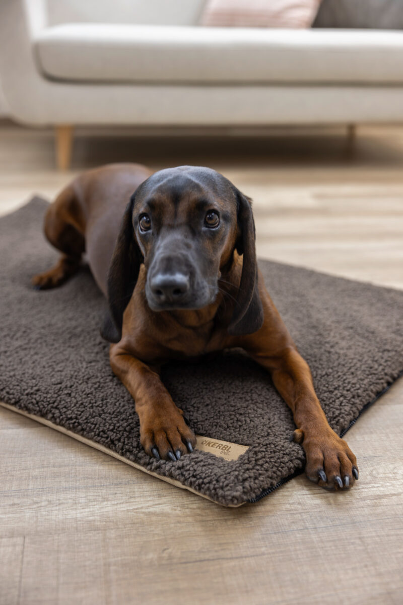 Multi-functional Mattress