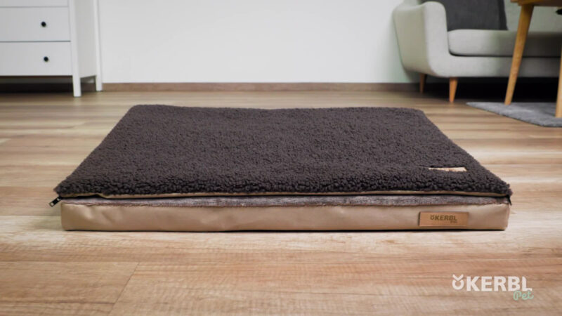 Multi-functional Mattress