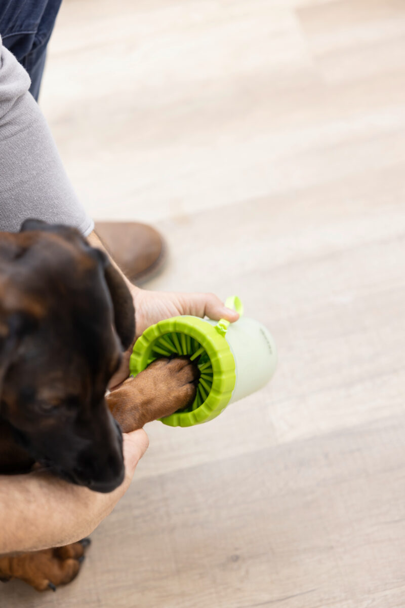 Paw Cleaner