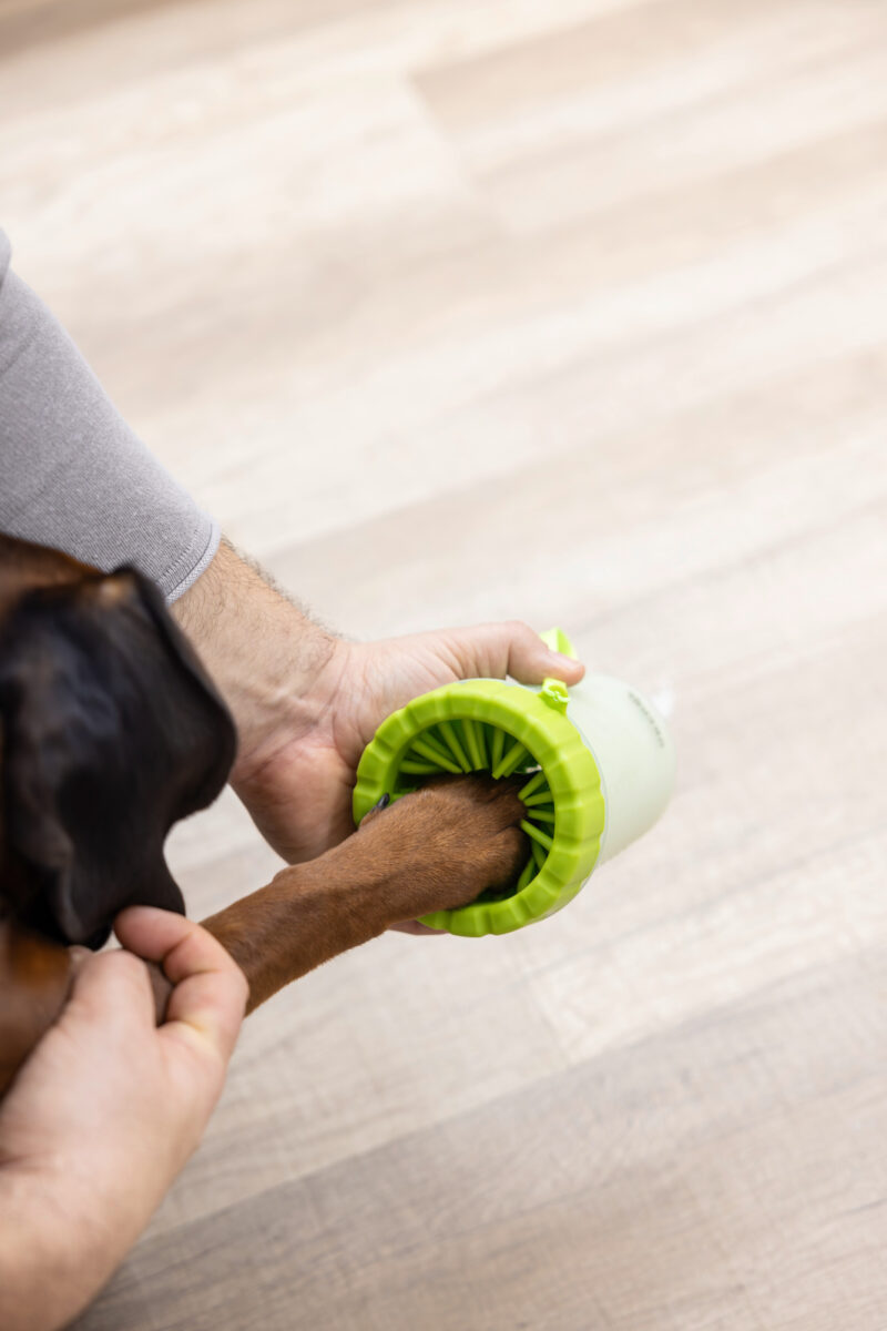 Paw Cleaner