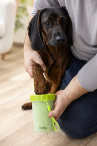 Paw Cleaner