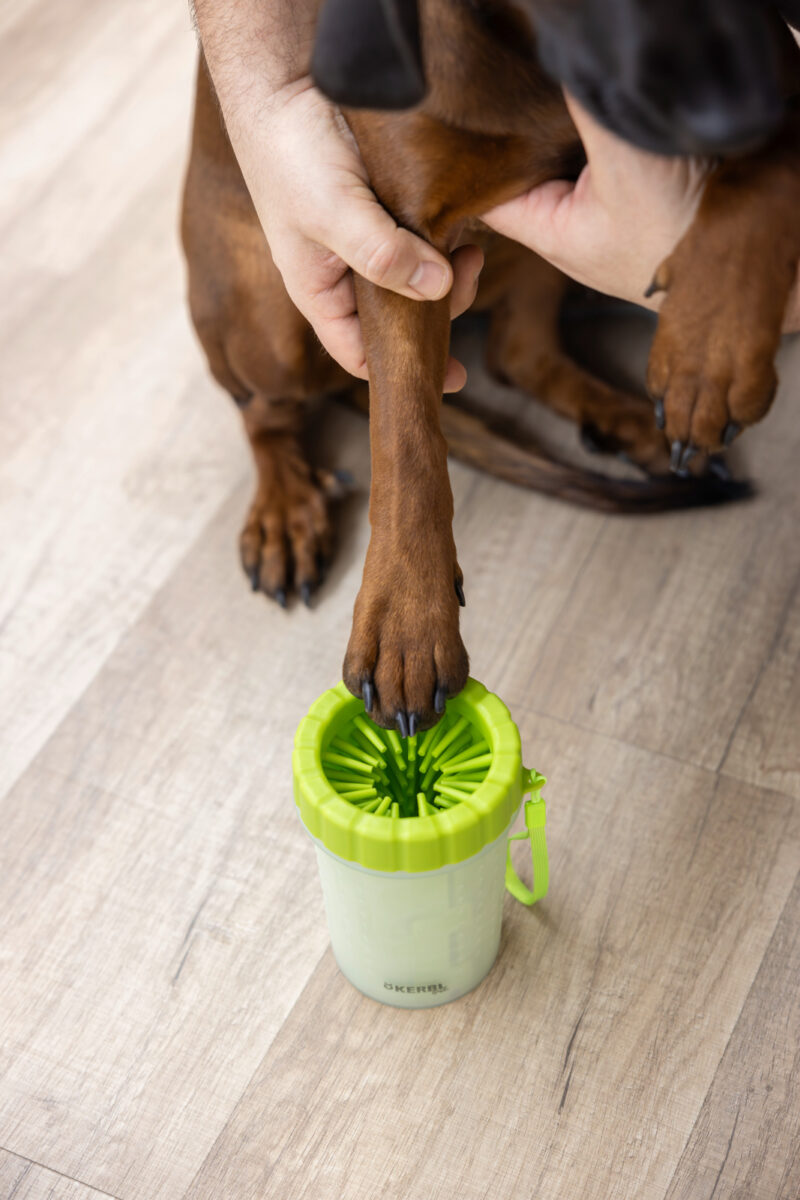 Paw Cleaner