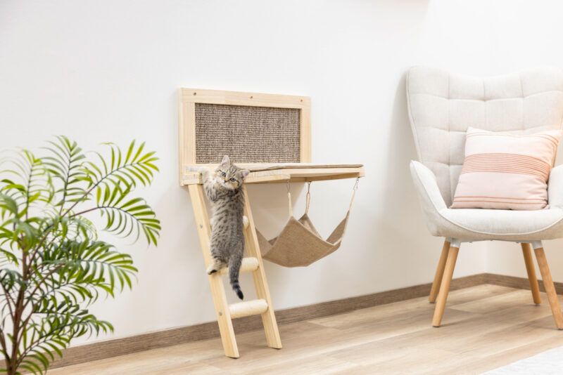 Planche griffoir Timber