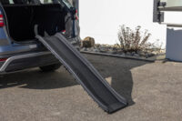 Rampe pour chien