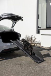 Rampe pour chien