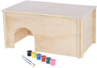 Rodent House for Painting
