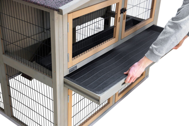 Rodent House Suite