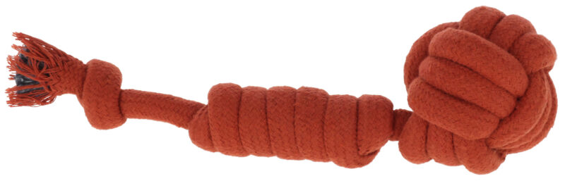 Rope Toy
