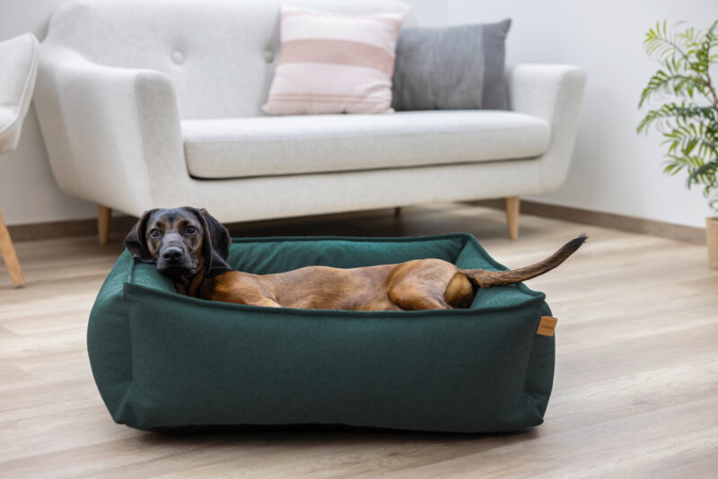 Snugly Bed Oliver