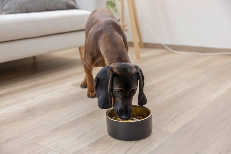Stainless Steel Bowl Golden