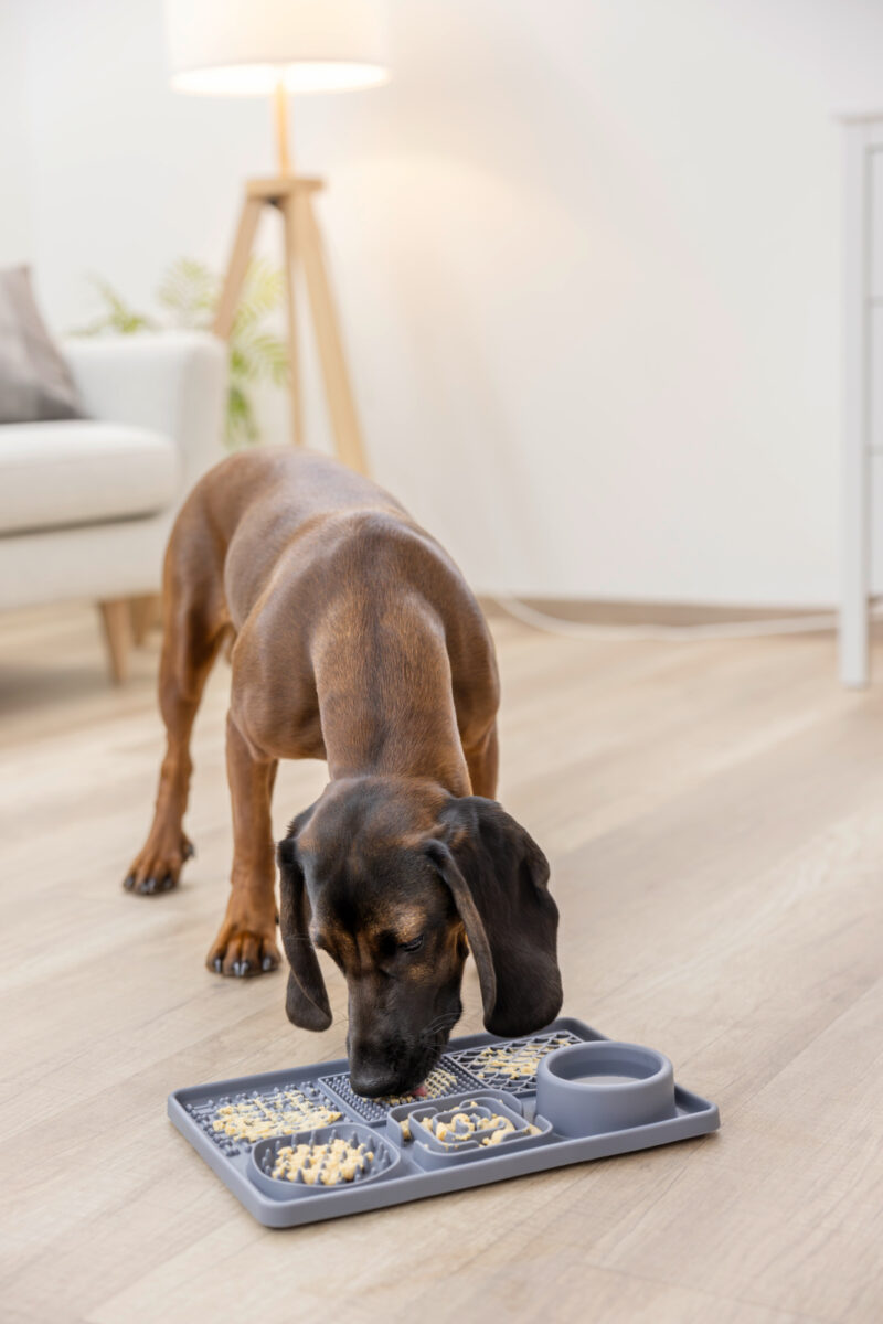 Tapis à lécher XL