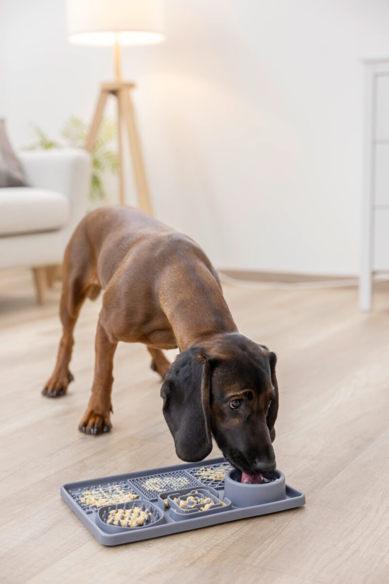 Tapis à lécher XL