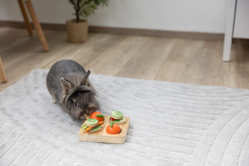 Thinking and Learning Toy Veggie