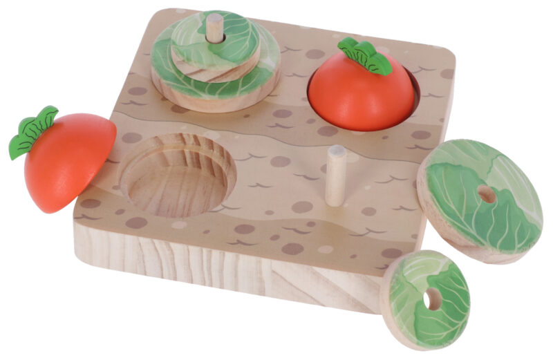 Thinking and Learning Toy Veggie