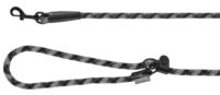Training Leash Fitty