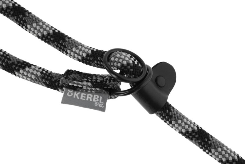 Training Leash Fitty