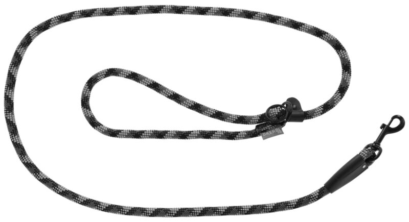 Training Leash Fitty