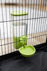Wasserspender