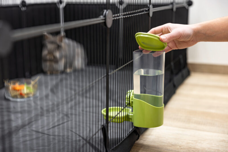 Water Dispenser