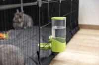 Water Dispenser